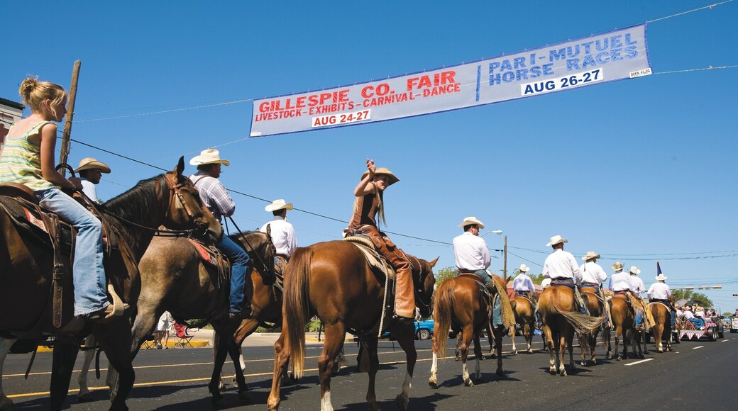 Fredericksburg showing horseriding, signage and land animals