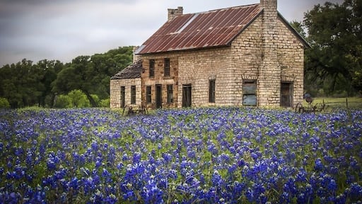 This is just off of US 281 in Marble Falls Tx, and in the spring, the bluebonnets normally get really thick. There is now some construction going on just to the left, but it is easily accessible. There is a fence and the land is private property.
#BVSBlue