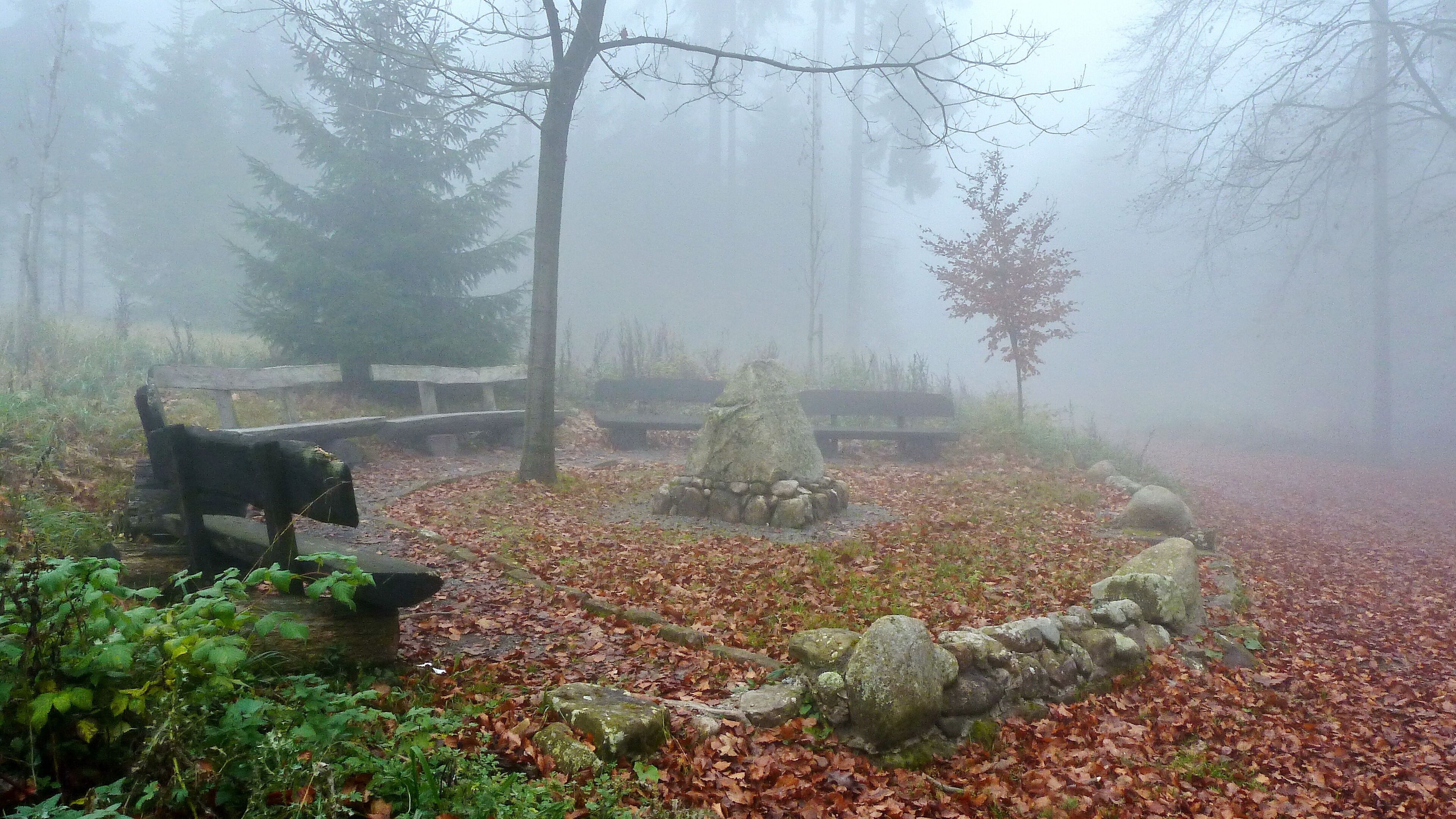Dieser Stein wurde 1954 aufgestellt und erinnert an das 200jährige Bestehen der Wennigsen-Argestorfer Forstgenossenschaft.