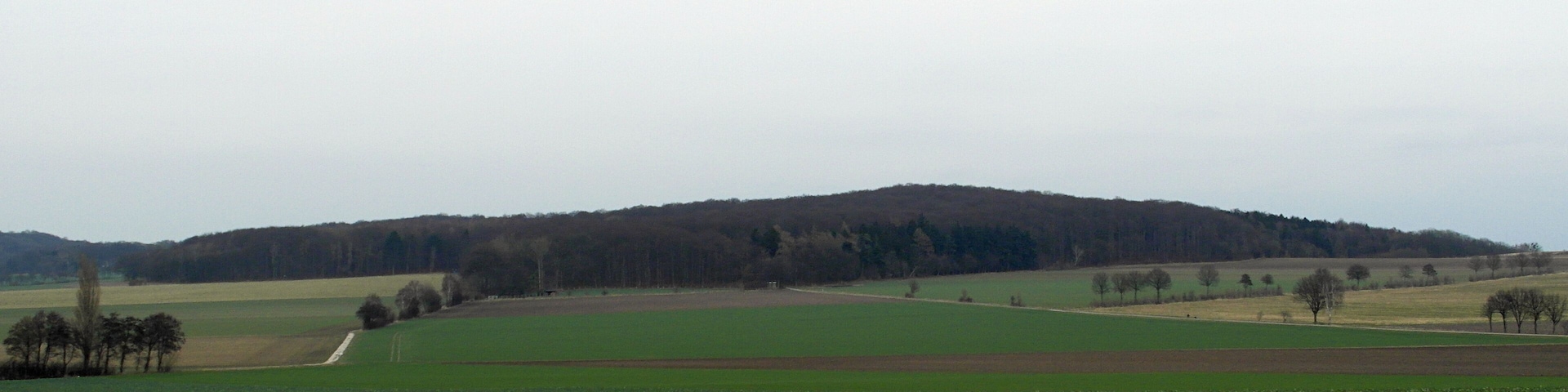 Blick auf den Suerser Berg, den südlichen Gipfel des Gehrdener Berg in der Region Hannover in Niedersachsen. Aufgenommen vom Rand der Bönnigser Straße, der Kreisstraße 229 von Degersen Richtung Lemmie