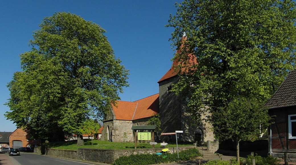 Naturdenkmal ND-H 19. Ensemble aus 4 großen alten Roßkastanien, die eine besondere Ortsbildwirkung durch ihre Anordnung rund um die Kirche in Holtensen erzielen.