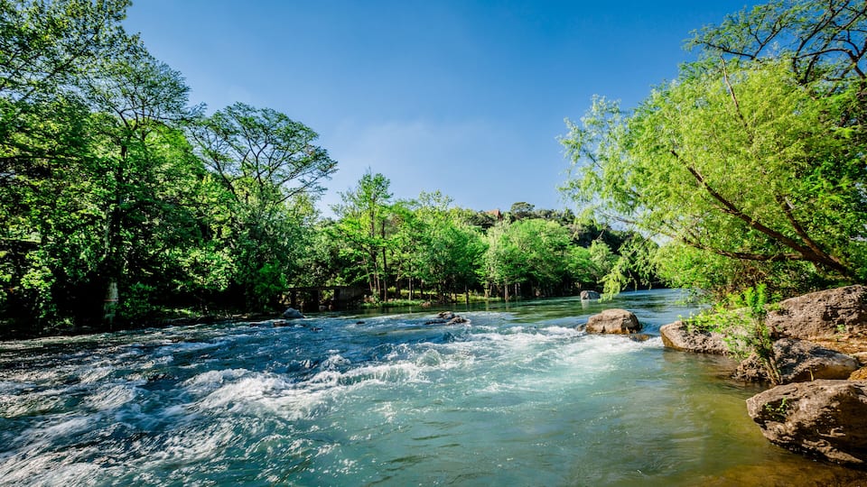 A river flowing through a forest with rocks and trees.