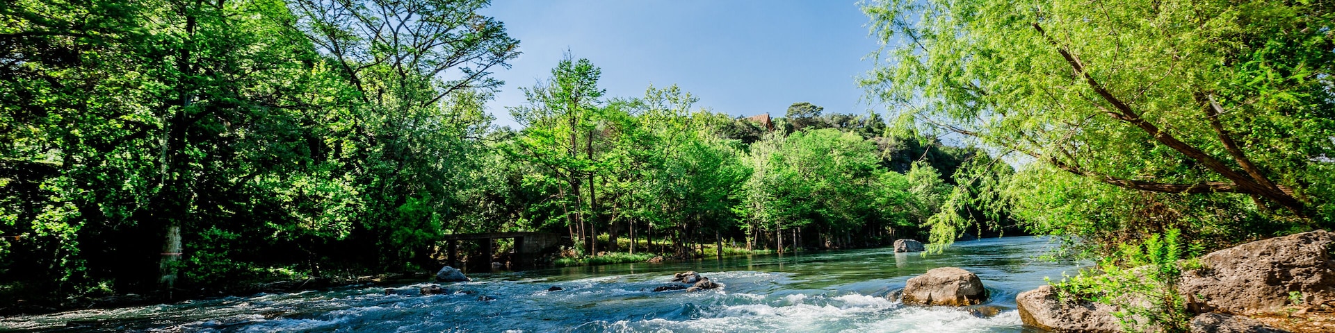 A river flowing through a forest with rocks and trees.