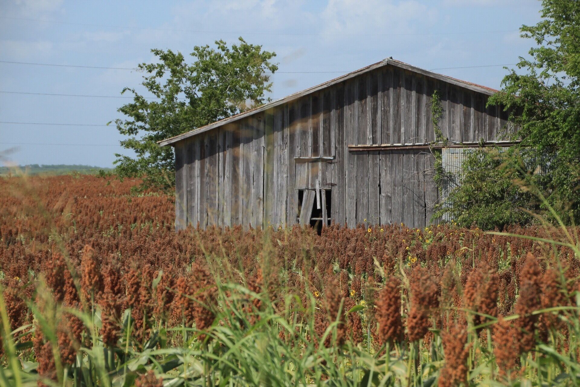 Driving down some backroads and spotted this beauty