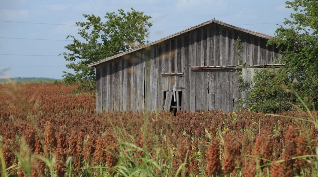 Driving down some backroads and spotted this beauty