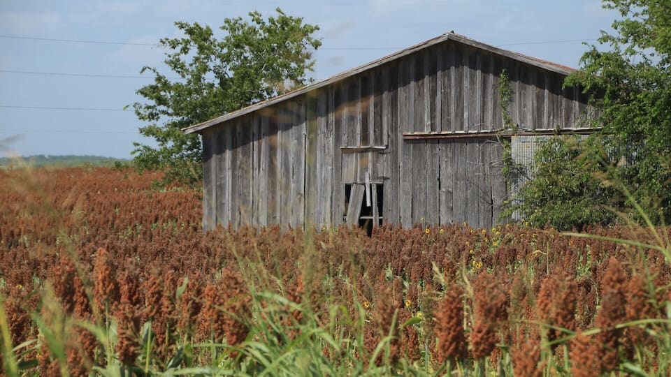 Driving down some backroads and spotted this beauty