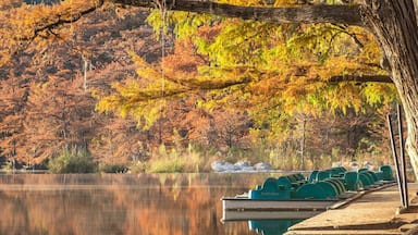 Un lago tranquilo con follaje otoñal, un muelle con barcos y un reflejo sereno de los árboles.