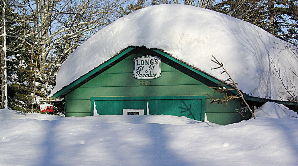Winter in Michigan.
The Upper Peninsula is a forested region in Michigan bordering 3 of the Great Lakes and extending outward from Wisconsin. It’s connected to Michigan’s Lower Peninsula by the roughly 5-miles-long Mackinac Bridge, which spans the Straits of Mackinac. Sandwiched between the 2 peninsulas is Mackinac Island, a car-free vacation destination with the iconic 1887 Grand Hotel and the Victorian-era Fort Mackinac.