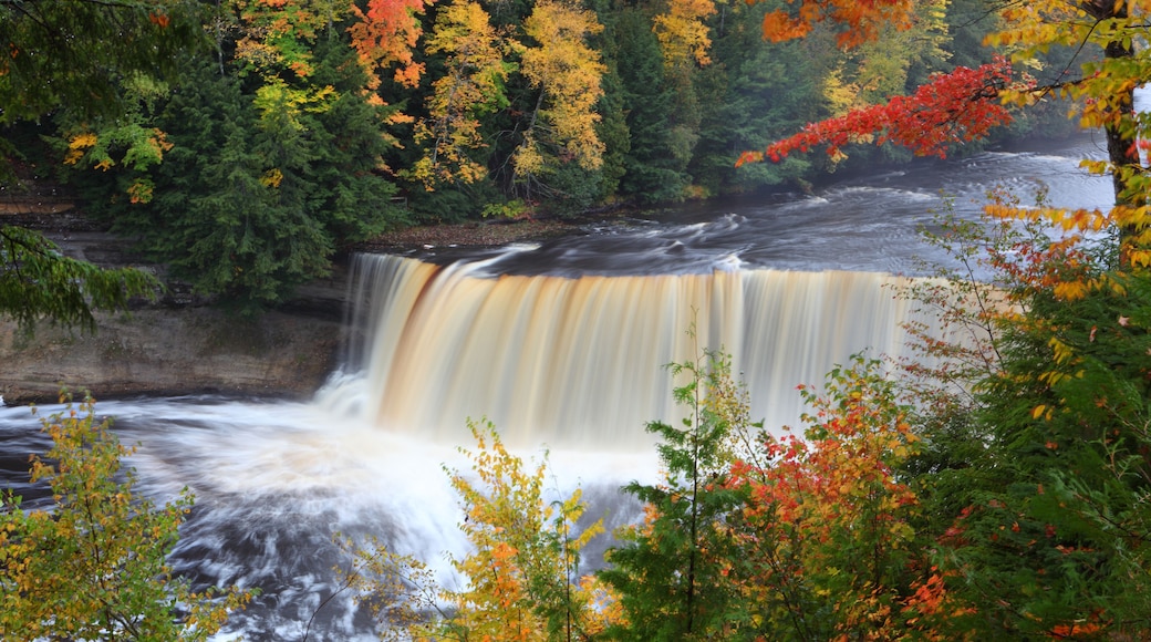 Tahquamenon Falls State Park Paradise Upper Peninsula Michigan