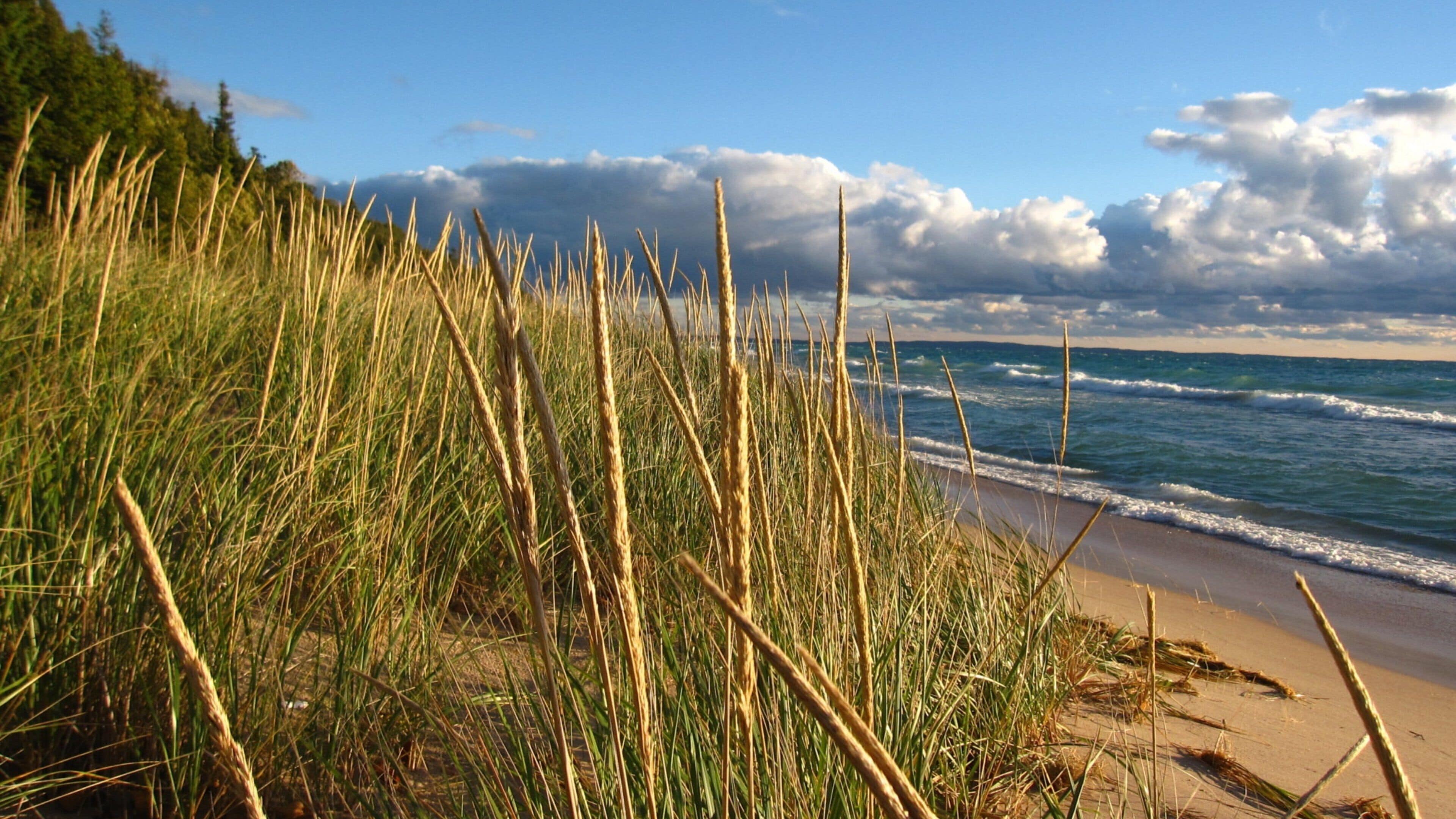 Petoskey which includes general coastal views, surf and a sandy beach