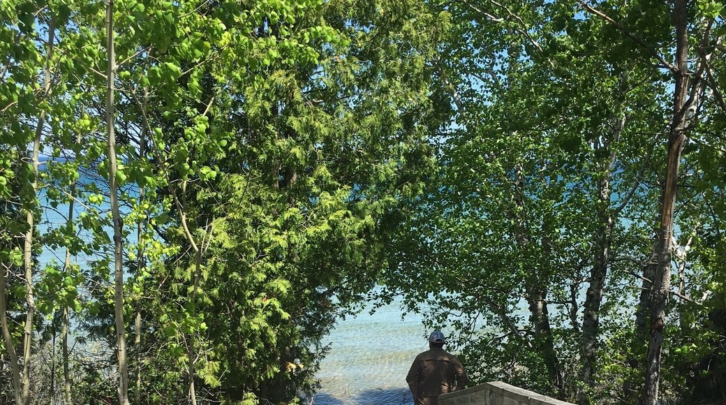 Stairway by the side of the road that touches Lake Michigan.