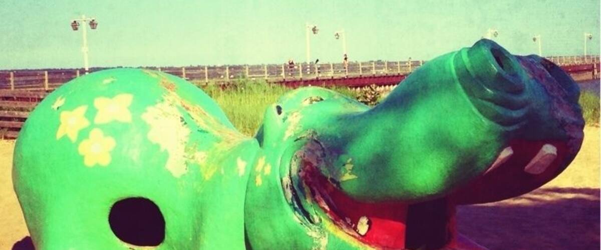 Hippo play structure in roadside park... Awesome!