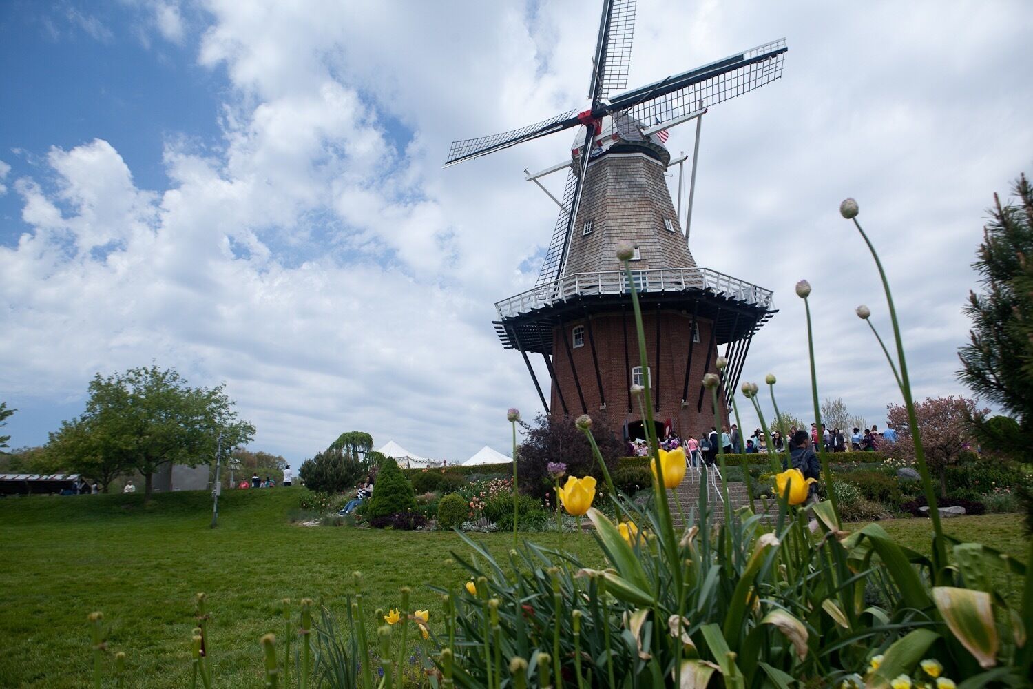 Windmill Island in Holland, MI during Tulip Time Festival in early May.