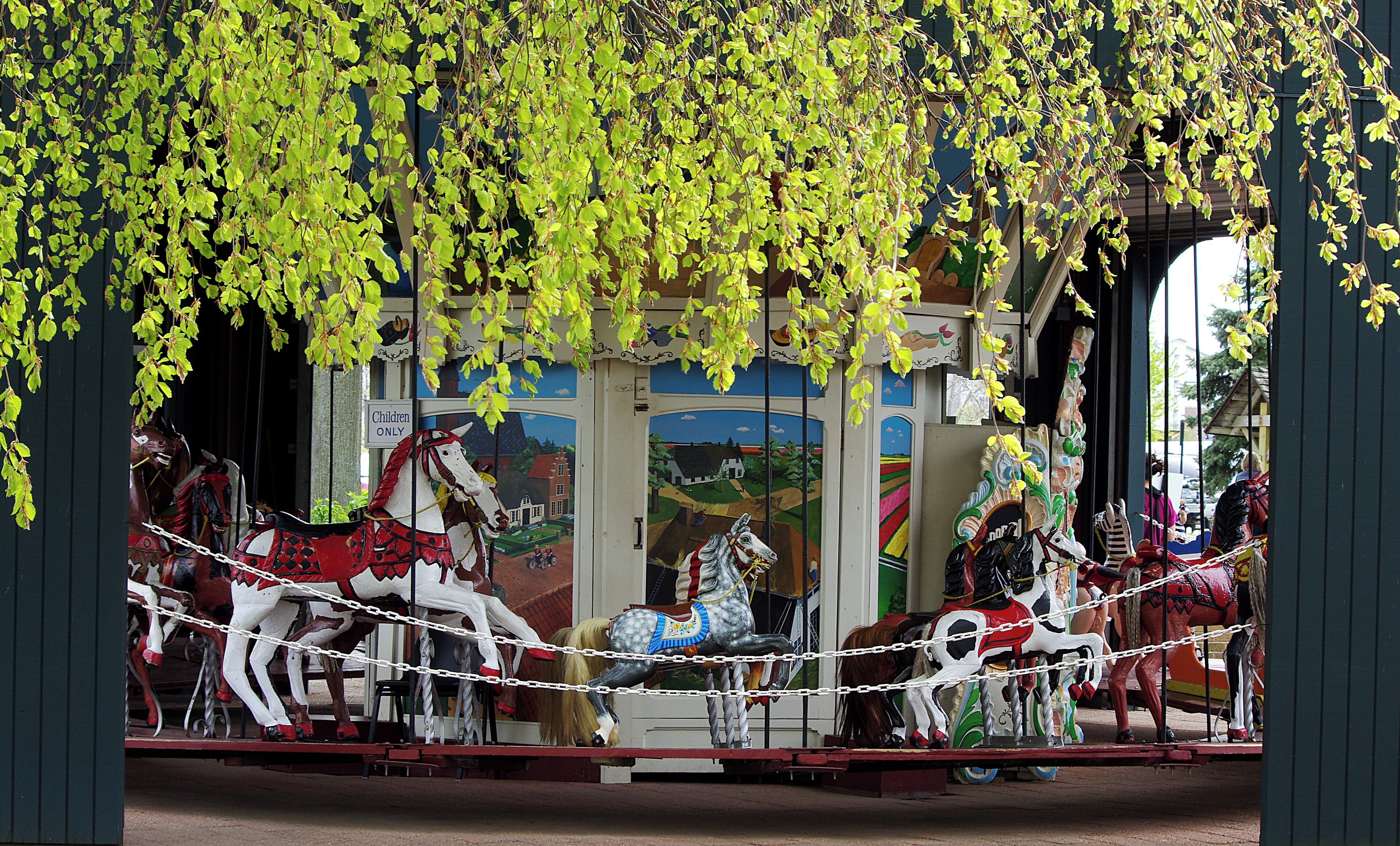 This carousel does not run on electricity, it has no motor. It is so well balanced it can be spun around by hand like the little carousel in the kids play grounds.
