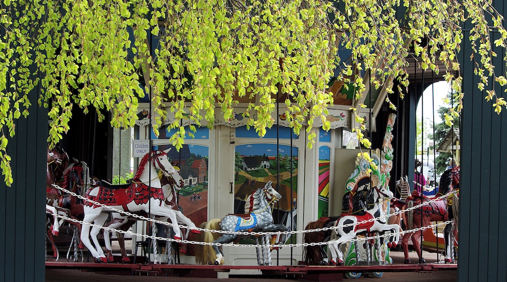 This carousel does not run on electricity, it has no motor. It is so well balanced it can be spun around by hand like the little carousel in the kids play grounds.