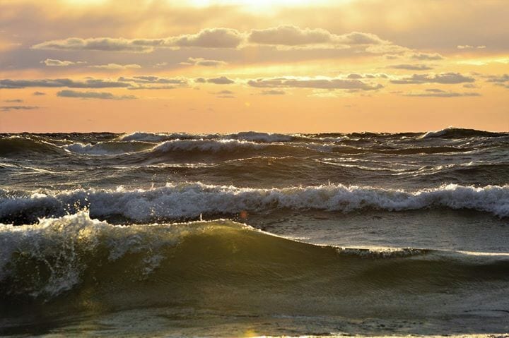 Zeehondencrèche, Seal rescue Center  

#KidsFun