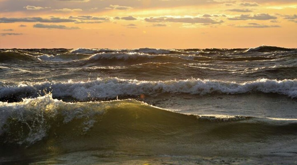 ZeehondencrĂšche, Seal rescue Center
#KidsFun