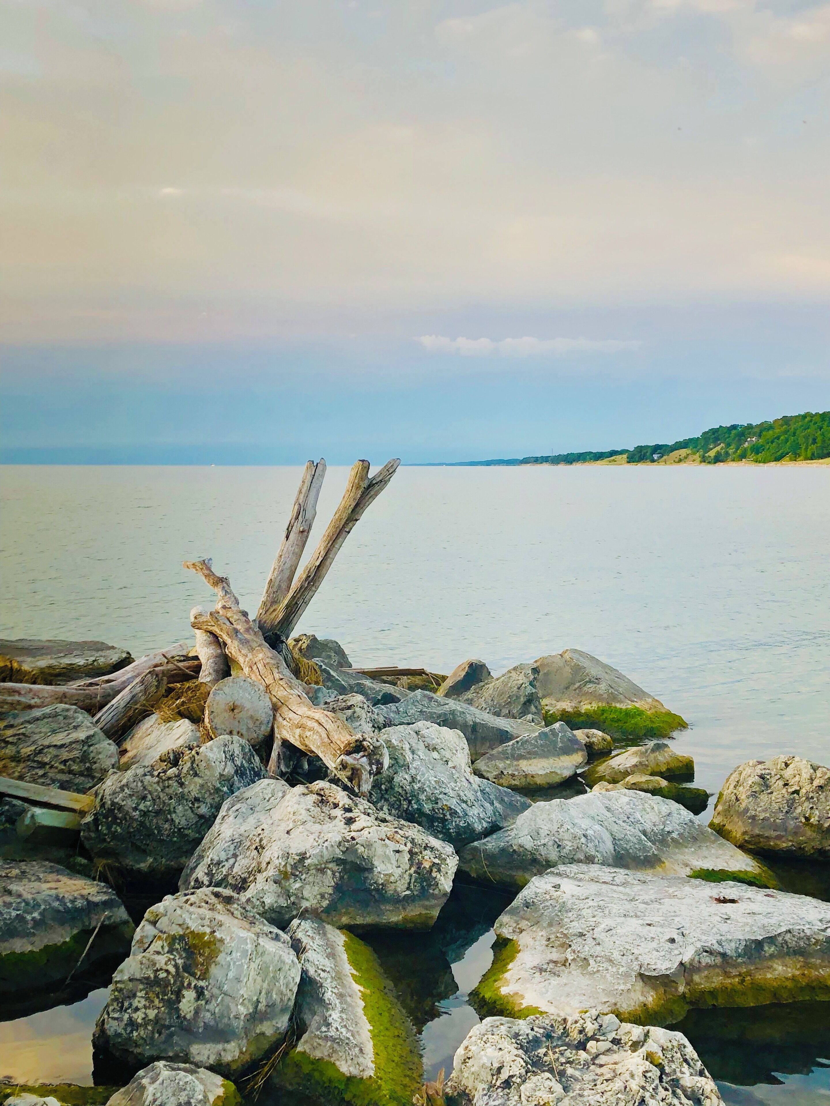 Sometimes just a pile of boulders and logs seems to tell a story. Each one has a story and purpose.