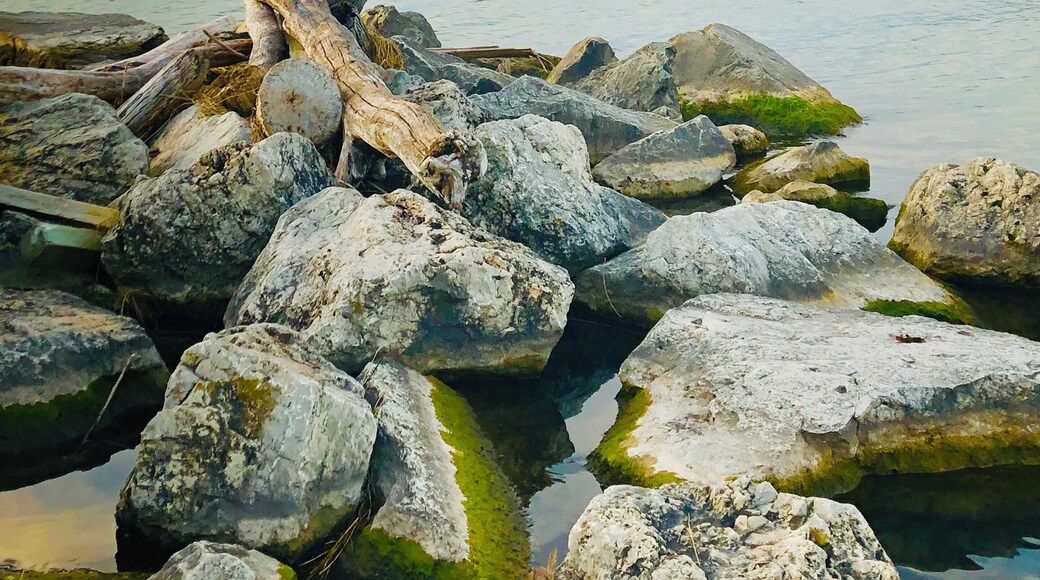 Sometimes just a pile of boulders and logs seems to tell a story. Each one has a story and purpose.