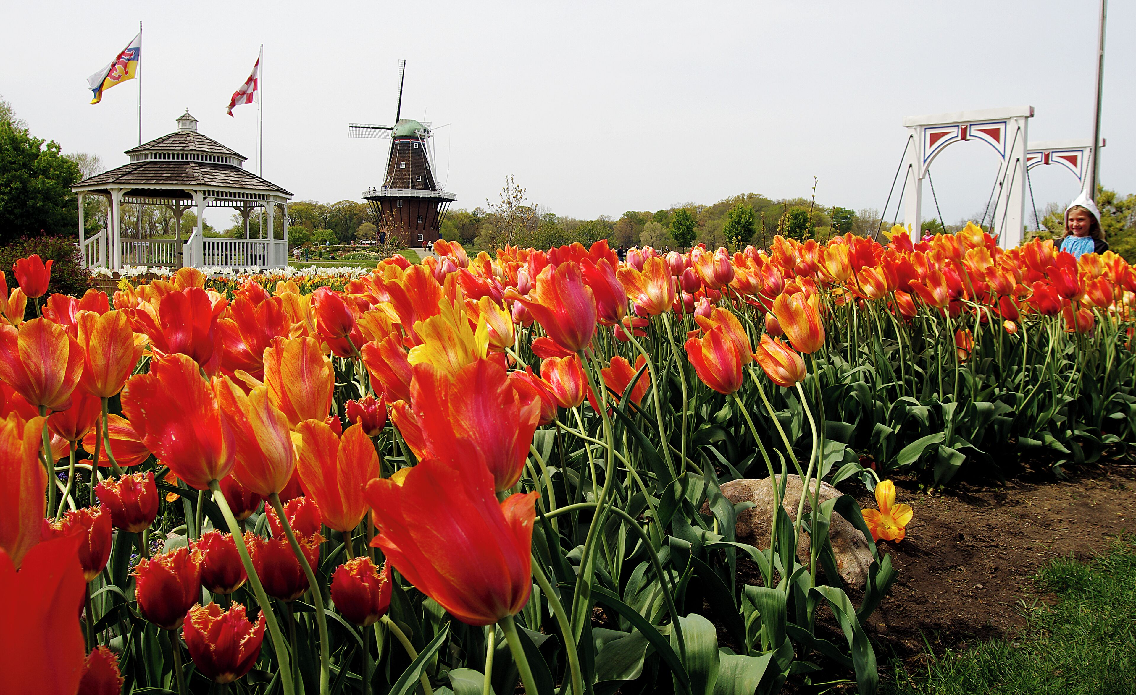 Holland is famous for its tulips and Windmill Island Gardens is a great place to see them. In addition there is a 250 year old windmill and a hand powered carousel.