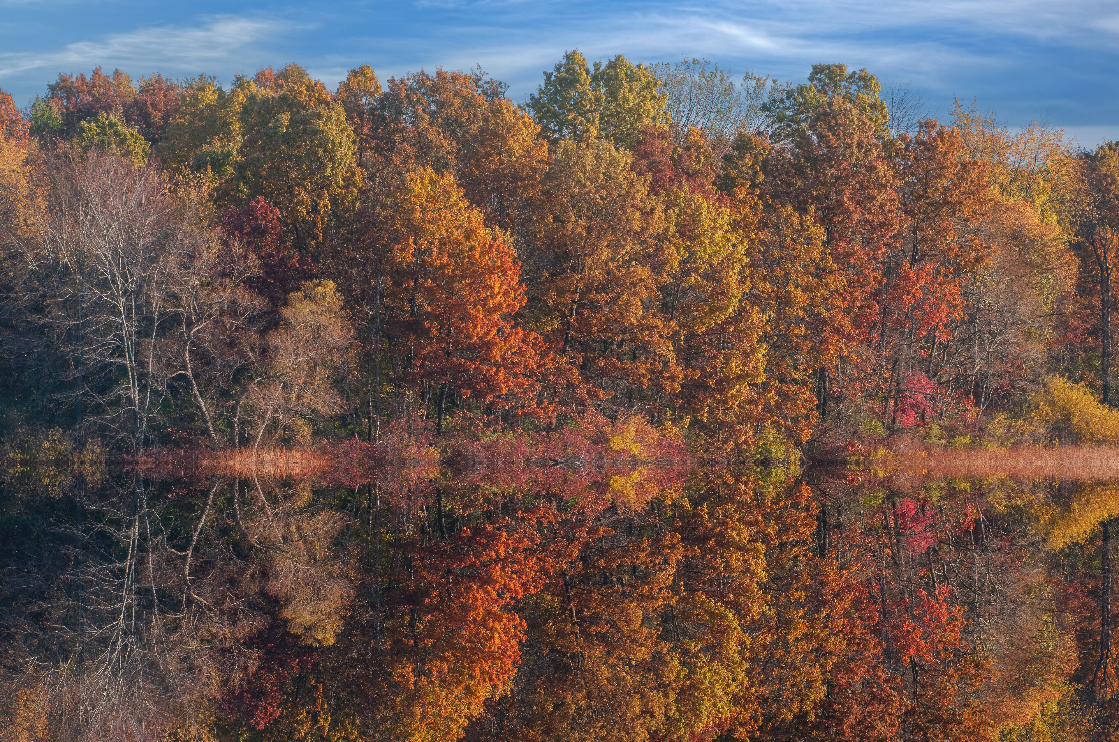 Landscape of the autumn shoreline of Jackson Hole Lake with colorful reflections in calm water, Fort Custer State Park , Michigan, USA