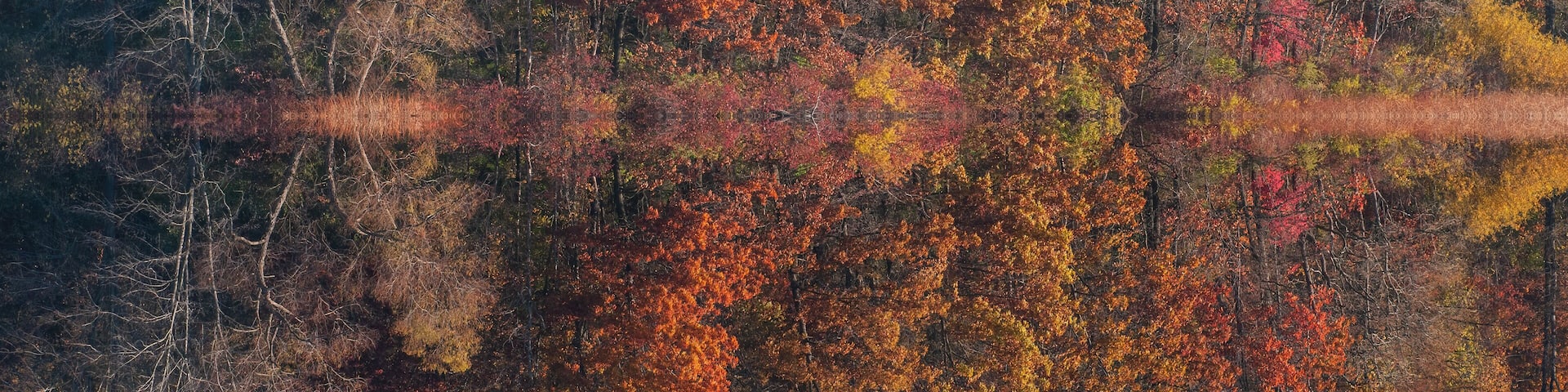 Landscape of the autumn shoreline of Jackson Hole Lake with colorful reflections in calm water, Fort Custer State Park , Michigan, USA