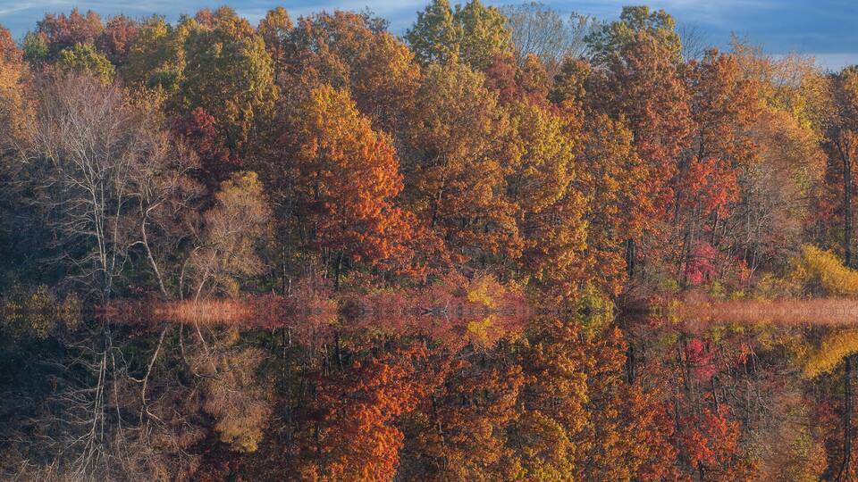 Landscape of the autumn shoreline of Jackson Hole Lake with colorful reflections in calm water, Fort Custer State Park , Michigan, USA