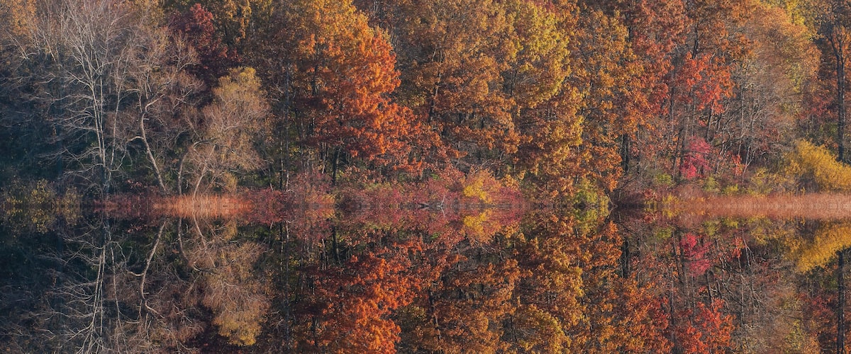 Landscape of the autumn shoreline of Jackson Hole Lake with colorful reflections in calm water, Fort Custer State Park , Michigan, USA