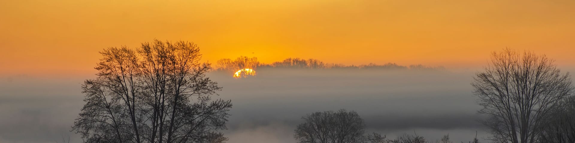 A foggy landscape with trees silhouetted against a sunrise.