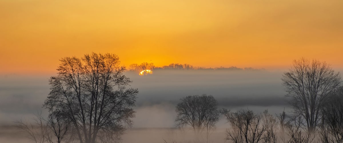 A foggy landscape with trees silhouetted against a sunrise.