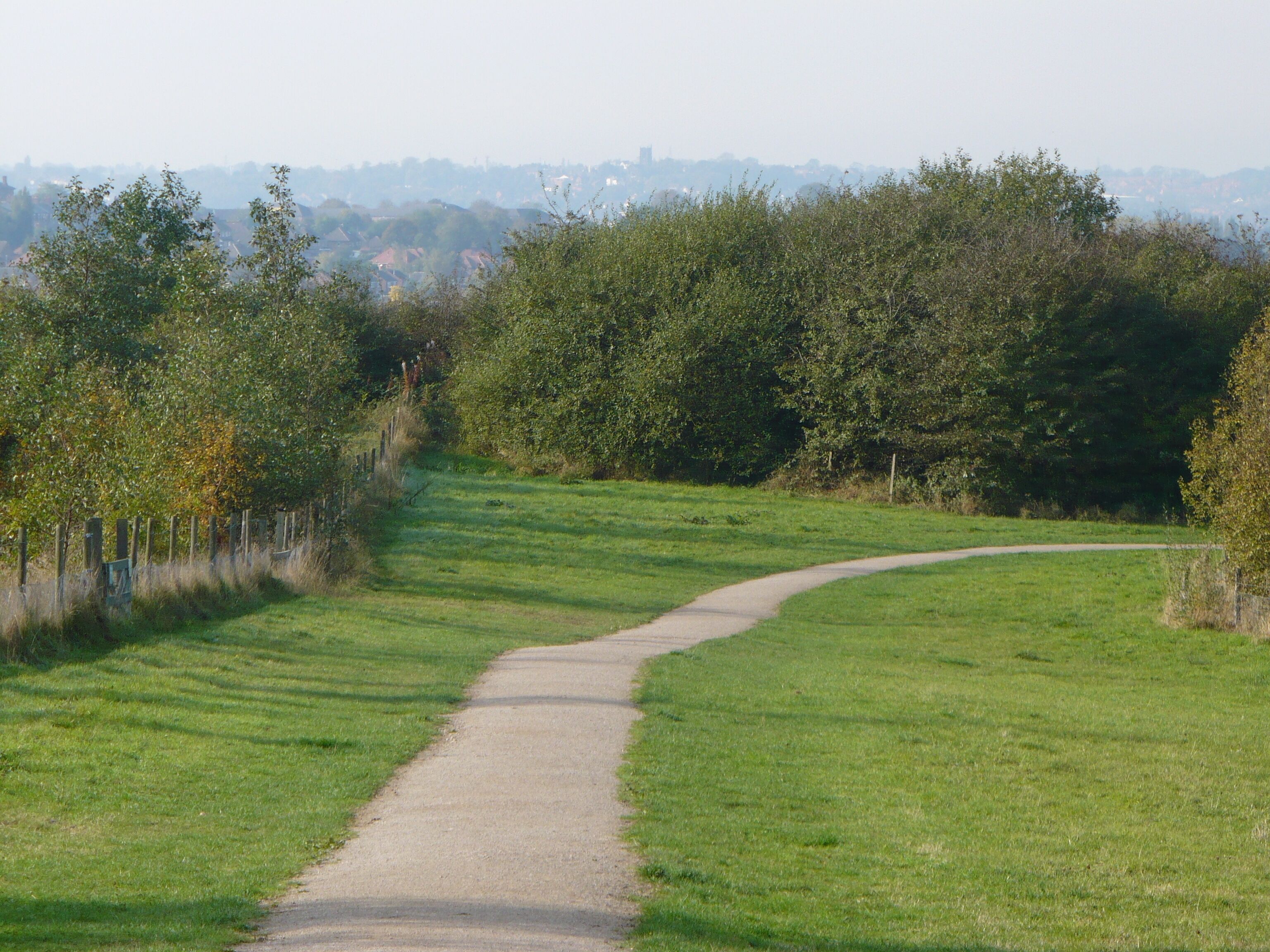 A curved gravel path in a grassy field with trees on both sides.