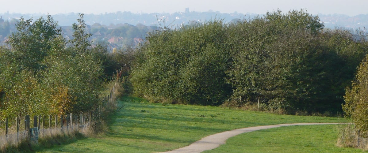 A curved gravel path in a grassy field with trees on both sides.