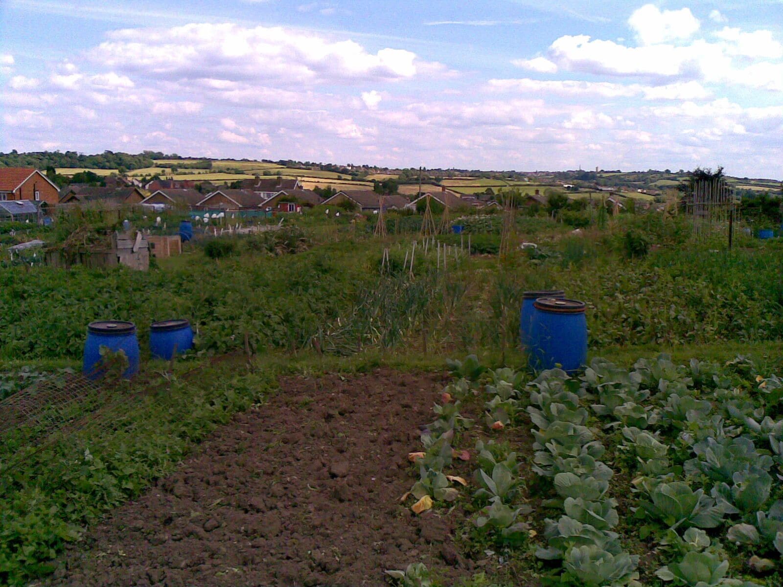 Allotments, Charles Street View through the allotments and over the Giltbrook countryside towards Kimberley.