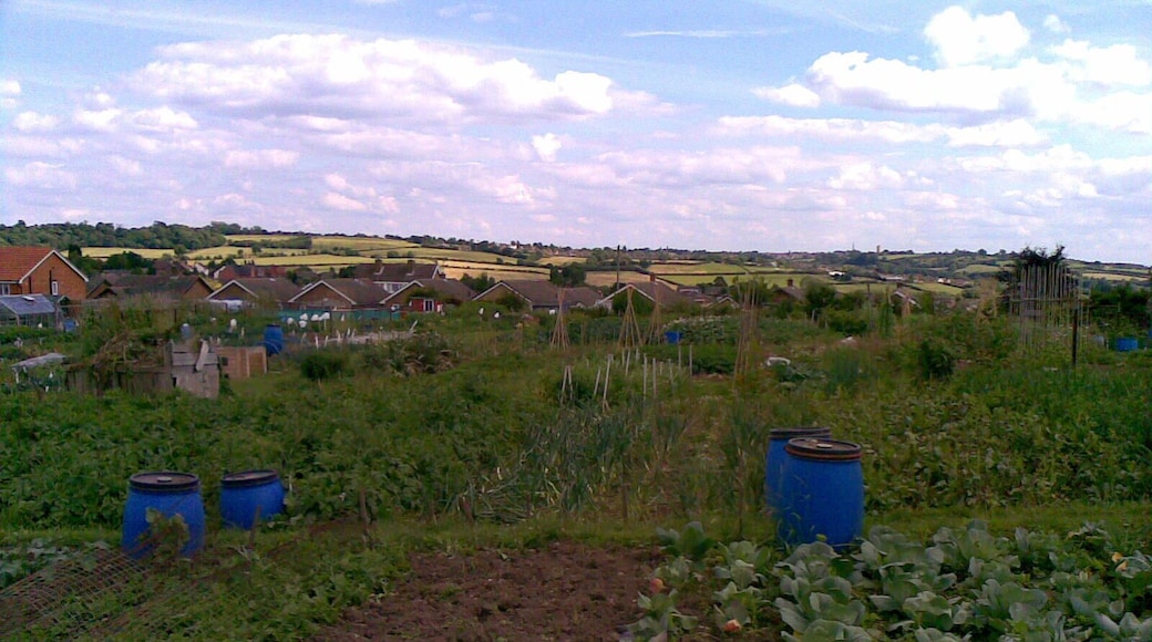Allotments, Charles Street View through the allotments and over the Giltbrook countryside towards Kimberley.