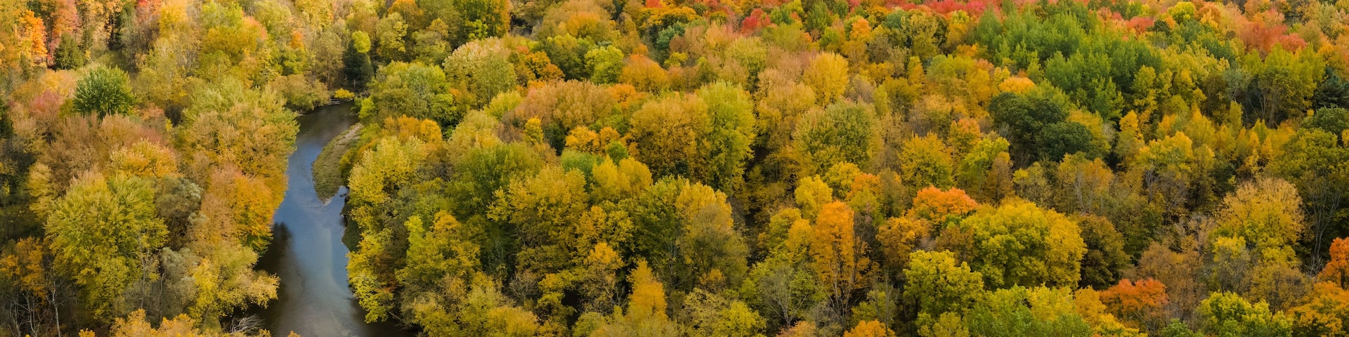 Autumn landscape of the Chippewa River and the central Michigan Countryside