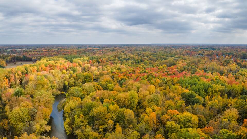A river winding through a forest with autumn foliage.