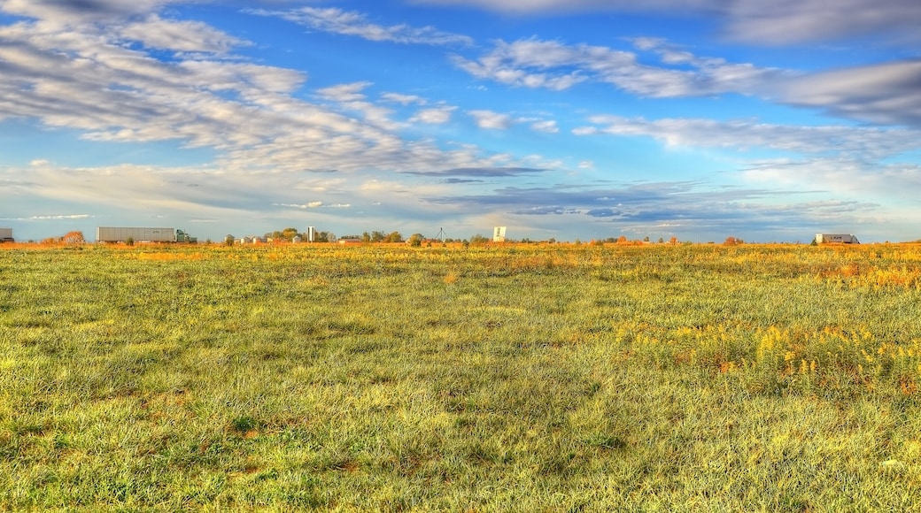 semi trucks moving across the prairie state with golden hued green fields beneath a blue and white cloudy sky, Highway 55, Litchfield Illinois