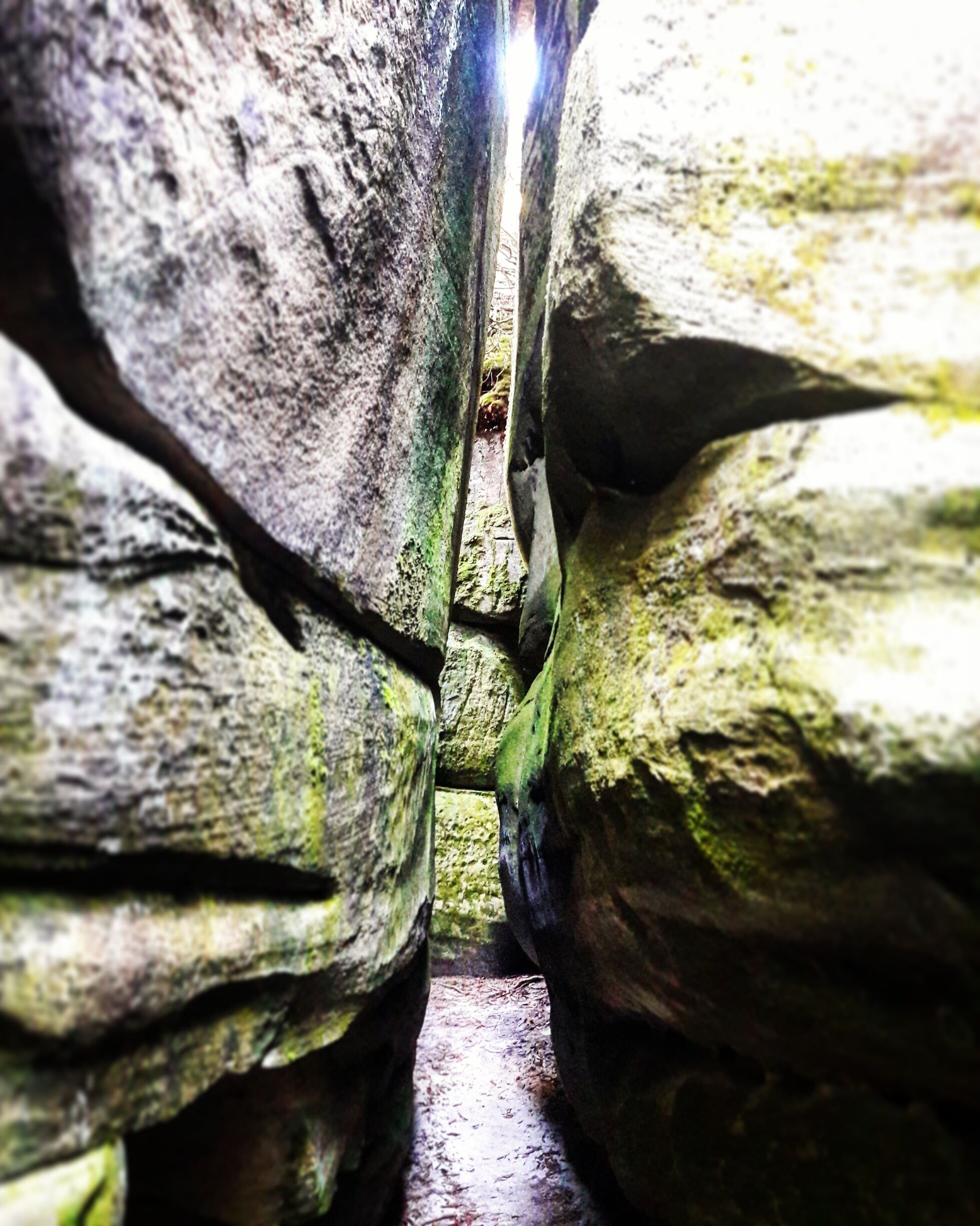 The Channels Natural Area Preserve in Abingdon, VA, is an amazing place for some exploring. These sandstone outcroppings are 400 million years old! Read about our hike to the Channels on the blog! www.gonewanderingweb.com  #Green