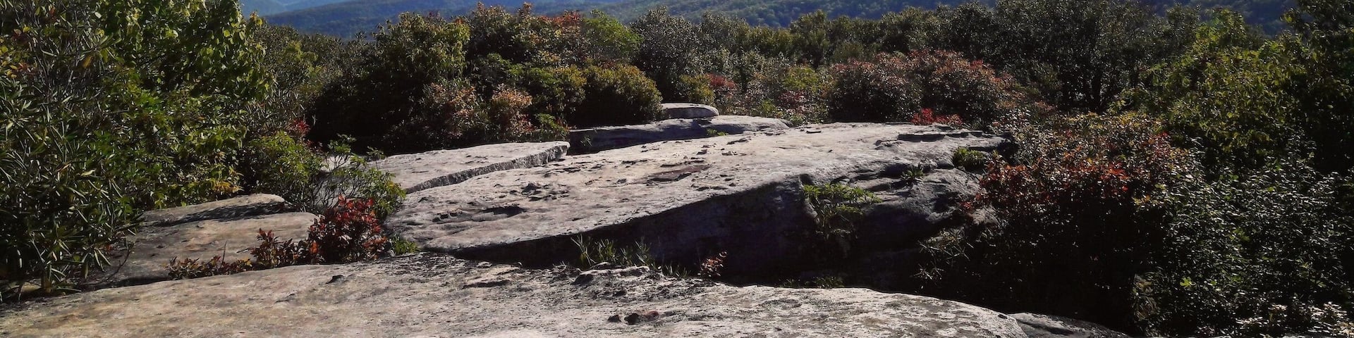 Beautiful view from the tops of the 400 million year old sandstone outcroppings at The Channels Natural Area Preserve in Abingdon, VA. Read about our hike to the Channels on the blog! www.gonewanderingweb.com