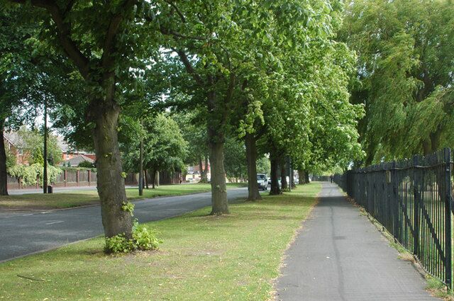 Beside the main road