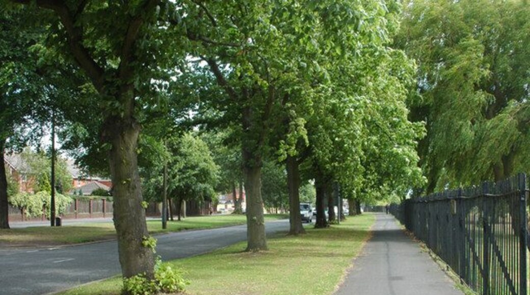 Beside the main road