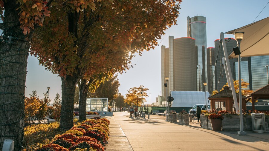 Southeast Michigan featuring a sunset