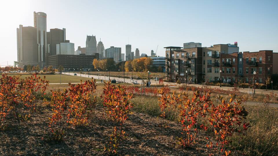 Southeast Michigan showing a sunset and a garden