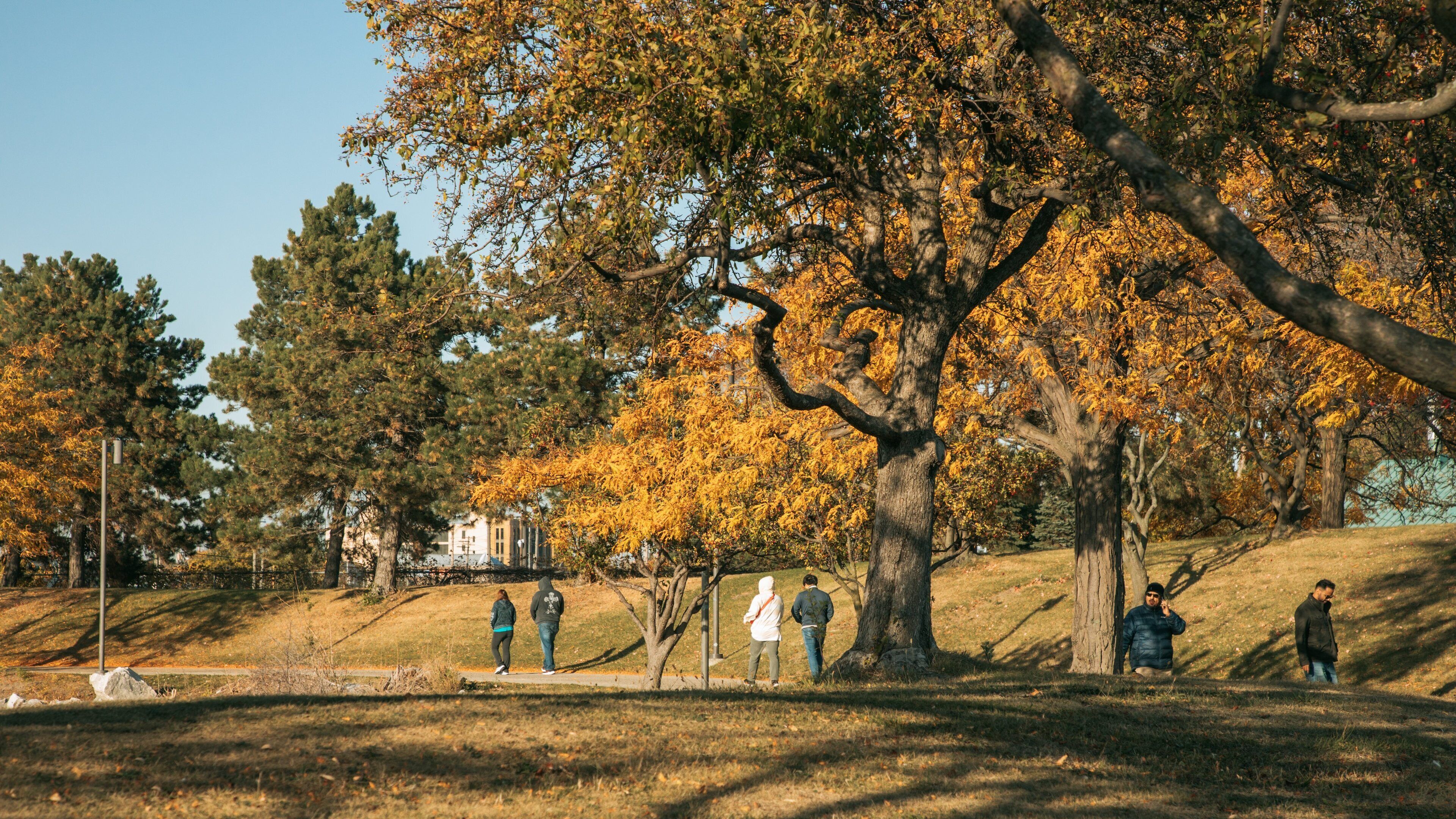 Southeast Michigan featuring a garden and autumn leaves