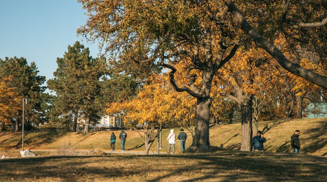 Southeast Michigan featuring a garden and autumn leaves