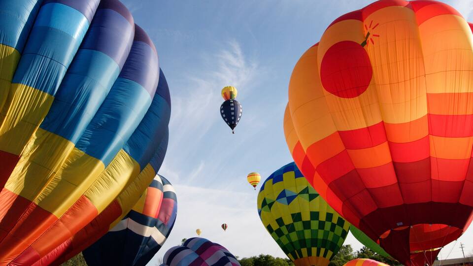 A variety of colorful hot air balloons in the sky.