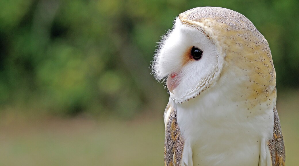 Qawra just under Ta Fra Ben