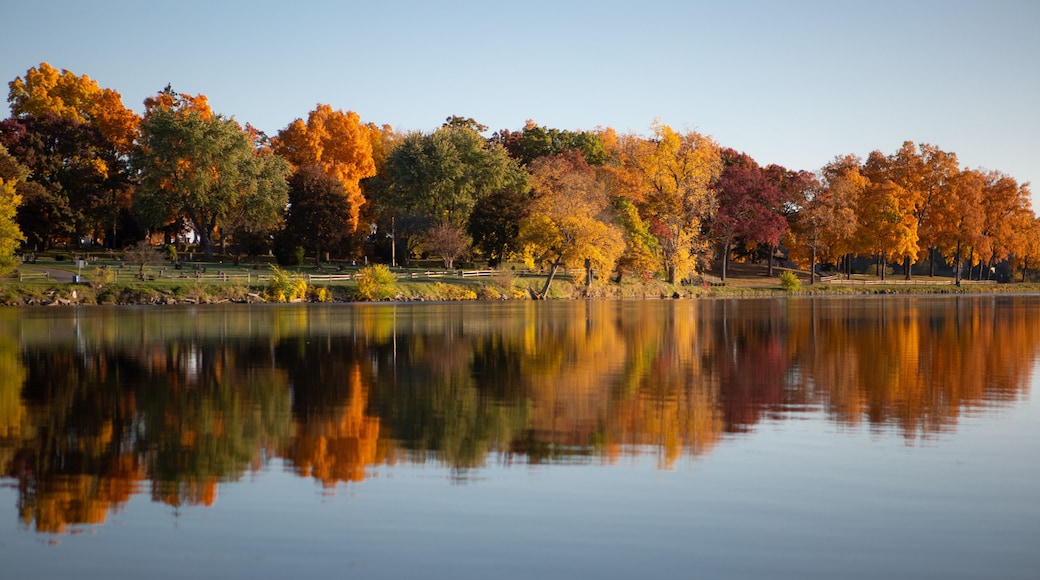 Fall colored leaves on autumn trees in a forest reflecting on a lake during golden hour in the midwest_14