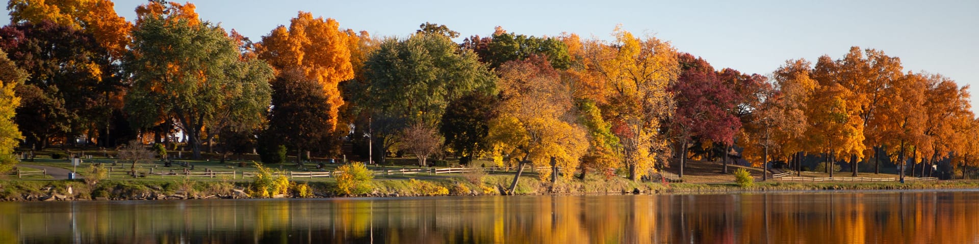 Fall colored leaves on autumn trees in a forest reflecting on a lake during golden hour in the midwest_14