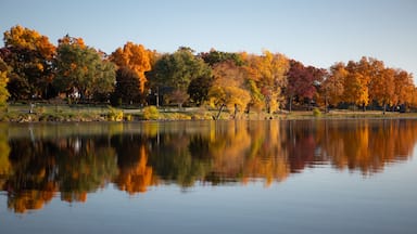 Um lago calmo refletindo árvores de outono com folhagem amarela e vermelha.
